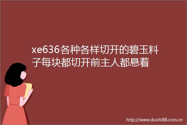 xe636各种各样切开的碧玉料子每块都切开前主人都悬着