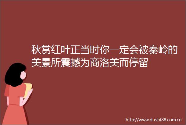 秋赏红叶正当时你一定会被秦岭的美景所震撼为商洛美而停留