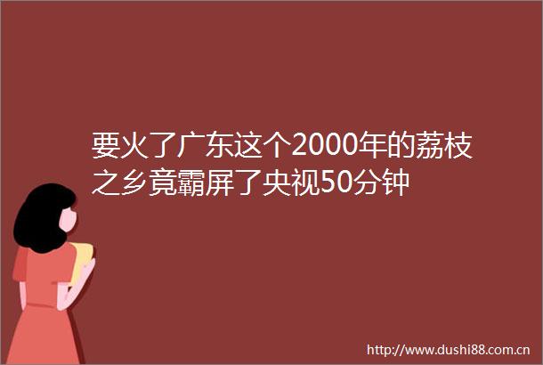 要火了广东这个2000年的荔枝之乡竟霸屏了央视50分钟