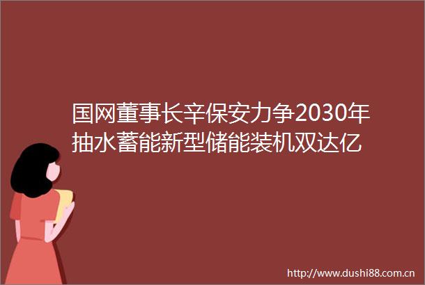国网董事长辛保安力争2030年抽水蓄能新型储能装机双达亿