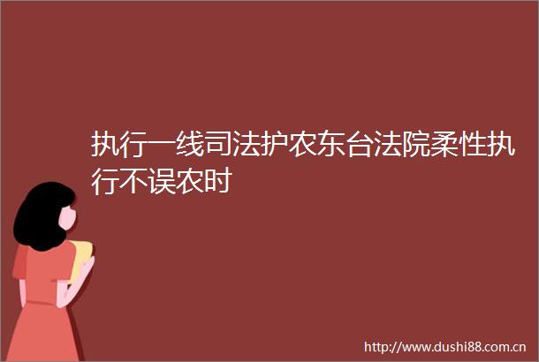 执行一线司法护农东台柔性执行不误农时