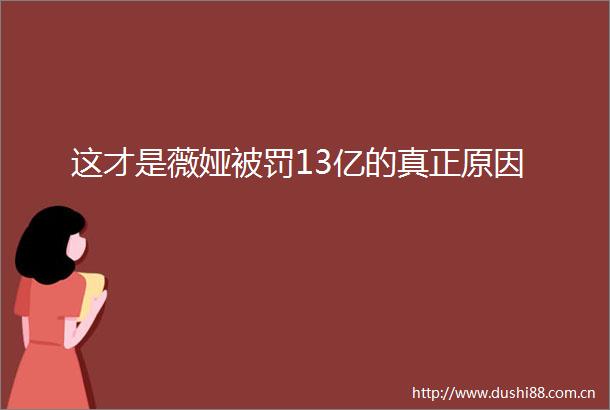 这才是薇娅13亿的真正原因