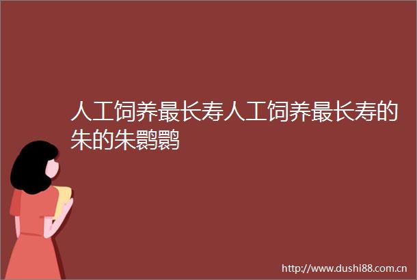 人工饲养最长寿人工饲养最长寿的朱的朱鹮鹮