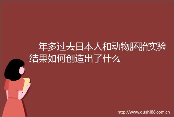 一年多过去人和动物胚胎实验结果如何创造出了什么