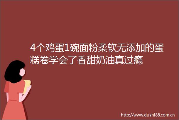 4个鸡蛋1碗面粉柔软无添加的蛋糕卷学会了香甜奶油真过瘾