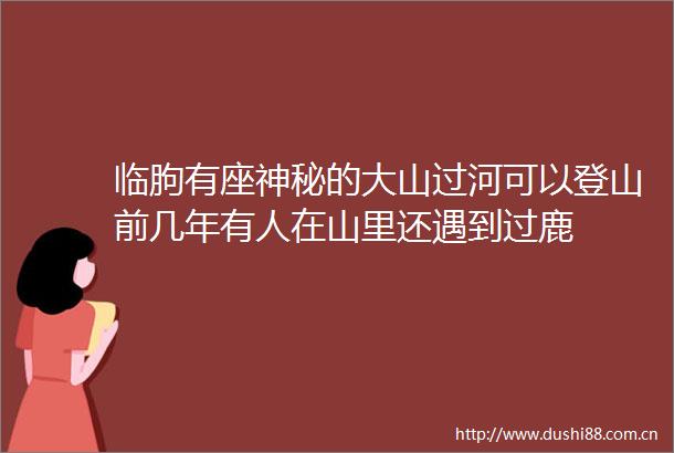 临朐有座神秘的大山过河可以登山前几年有人在山里还遇到过鹿