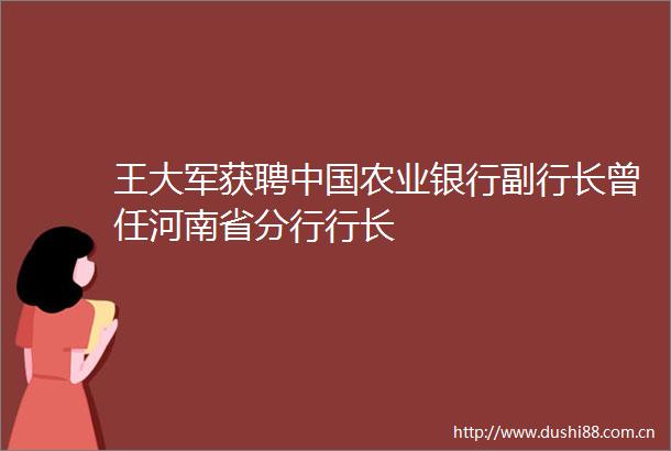 王大军获聘农业银行副行长曾任河南省分行行长