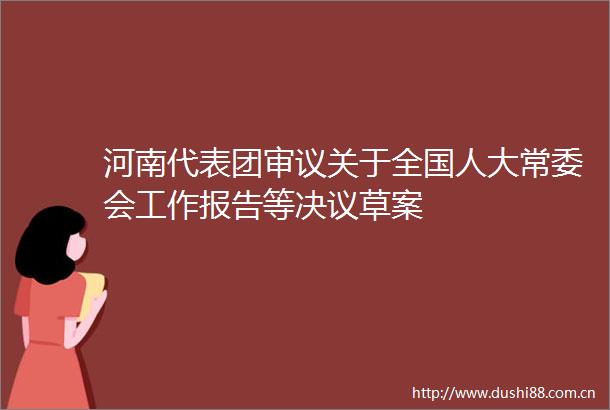 河南代表团审议关于全国人大常委会工作报告等决议草案