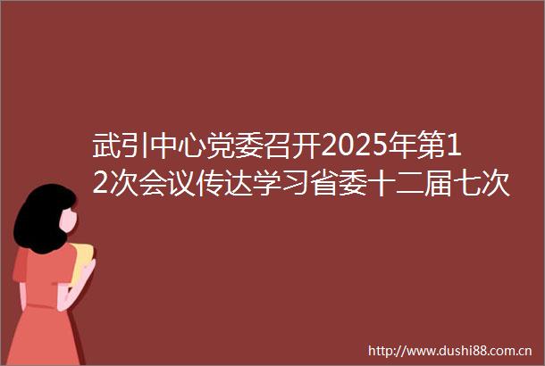 武引中心党委召开2025年第12次会议传达学习省委十二届七次全会精神