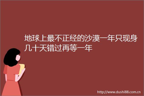 地球上最不正经的沙漠一年只现身几十天错过再等一年