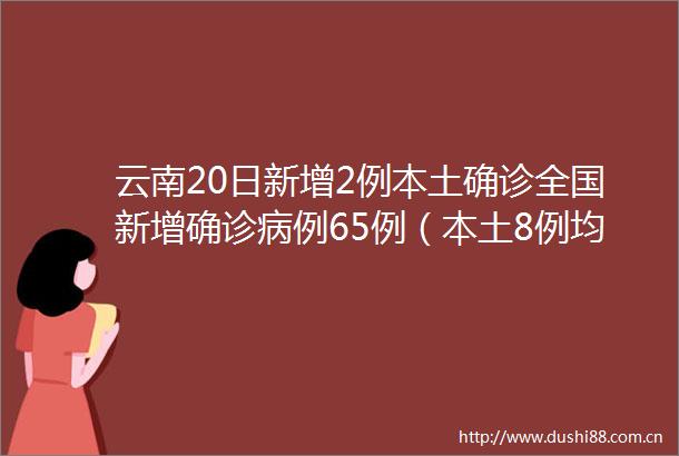 云南20日新增2例本土确诊全国新增确诊病例65例（本土8例均在云南）