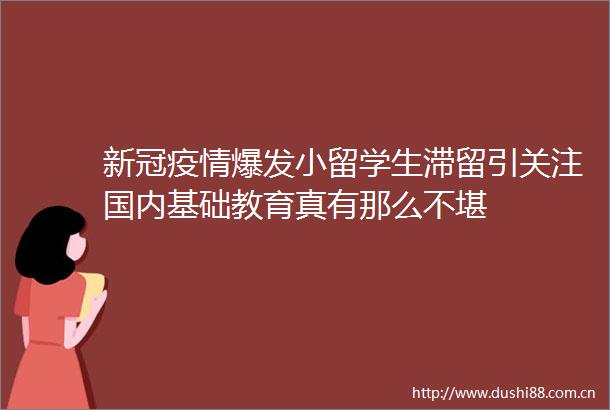 新冠疫情爆发小留学生滞留引关注国内基础教育真有那么不堪