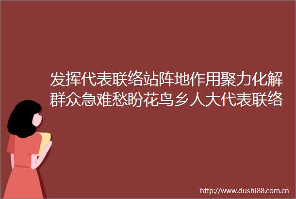 发挥代表联络站阵地作用聚力化解群众急难愁盼花鸟乡人大代表联络站开展听民生解民忧活动纪实