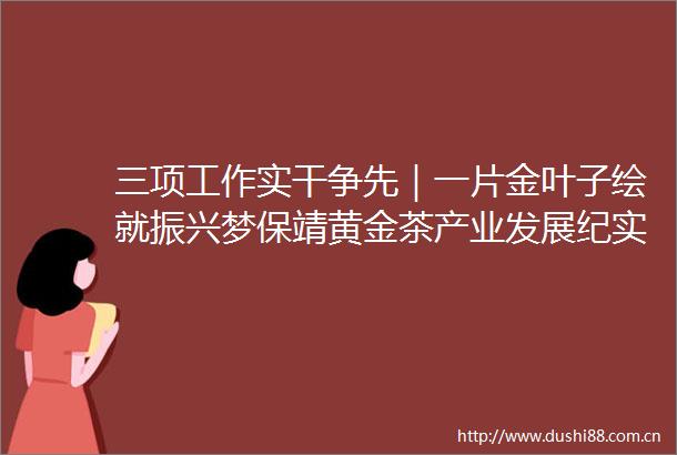 三项工作实干争先｜一片金叶子绘就振兴梦保靖黄金茶产业发展纪实