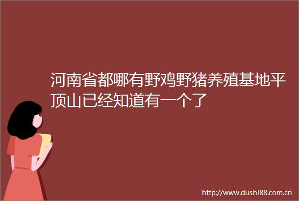河南省都哪有野鸡野猪养殖基地平顶山已经知道有一个了