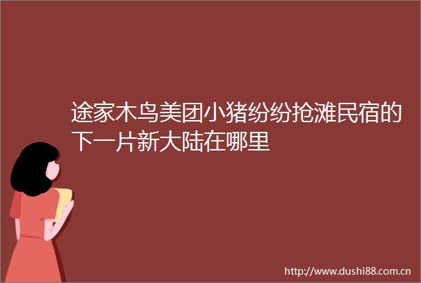 途家木鸟美团小猪纷纷抢滩民宿的下一片新大陆在哪里