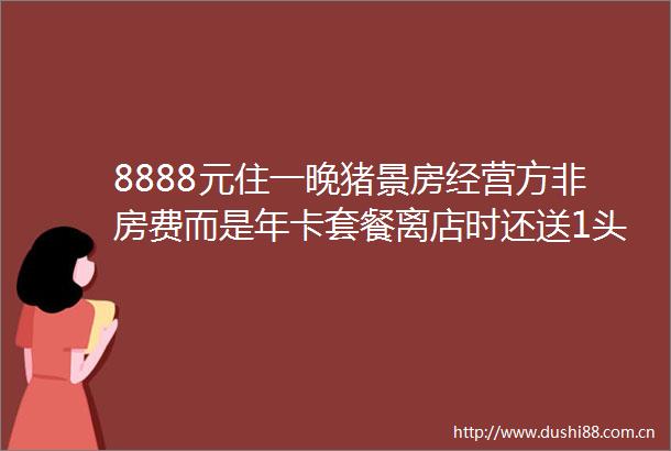 8888元住一晚猪景房经营方非房费而是年卡套餐离店时还送1头猪网友热议