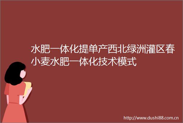 水肥一体化提单产西北绿洲灌区春小麦水肥一体化技术模式