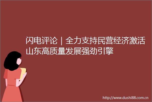 闪电评论｜全力支持民营经济激活山东高质量发展强劲引擎
