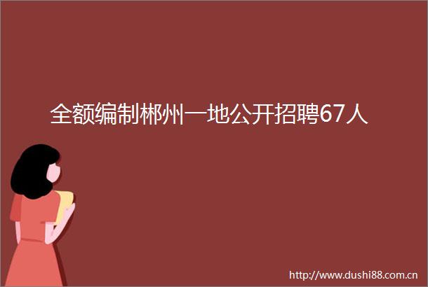全额编制郴州一地公开招聘67人