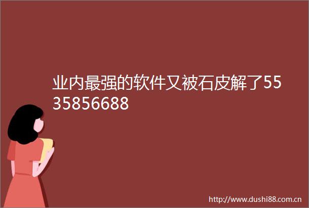 业内最强的软件又被石皮解了5535856688