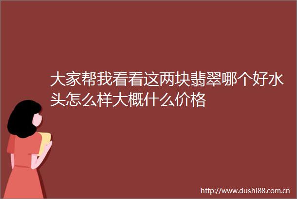 大家帮我看看这两块翡翠哪个好水头怎么样大概什么价格
