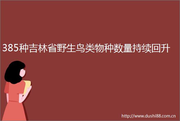 385种吉林省野生鸟类物种数量持续回升