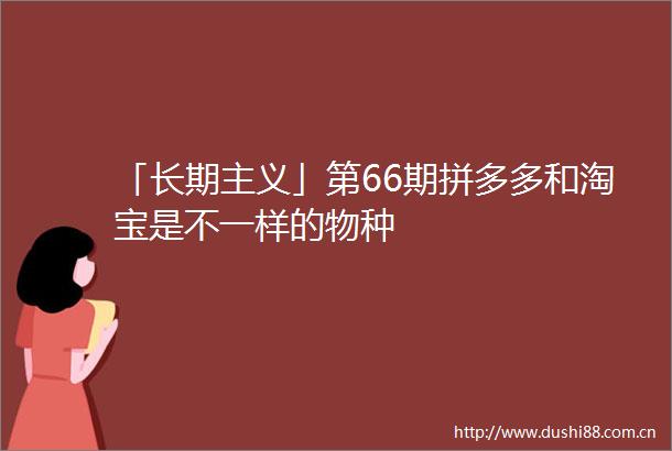 「长期主义」第66期拼多多和淘宝是不一样的物种