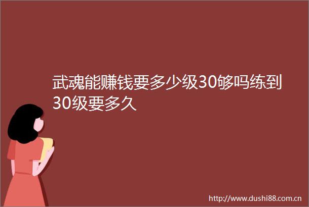 武魂能赚钱要多少级30够吗练到30级要多久