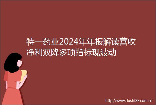 特一药业2024年年报解读营收净利双降多项指标现波动