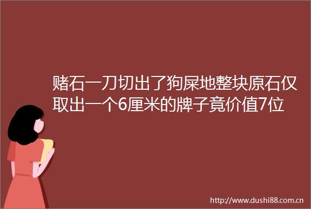 赌石一刀切出了狗屎地整块原石仅取出一个6厘米的牌子竟价值7位数