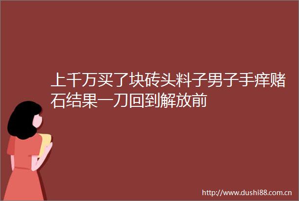 上千万买了块砖头料子男子手痒赌石结果一刀回到解放前