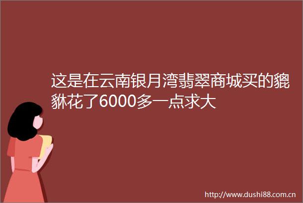 这是在云南银月湾翡翠商城买的貔貅花了6000多一点求大