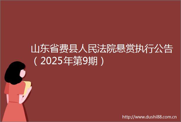 山东省费县悬赏执行公告（2025年第9期）