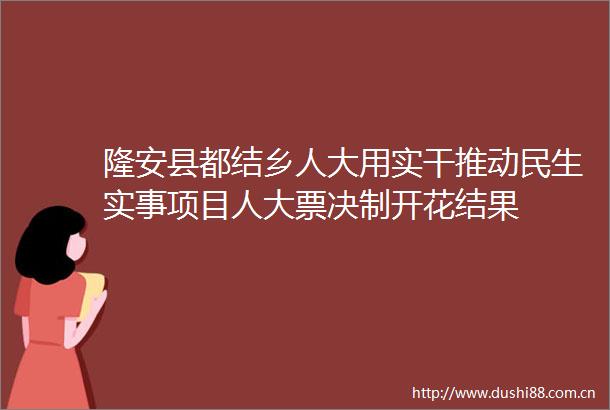 隆安县都结乡人大用实干推动民生实事项目人大票决制开花结果