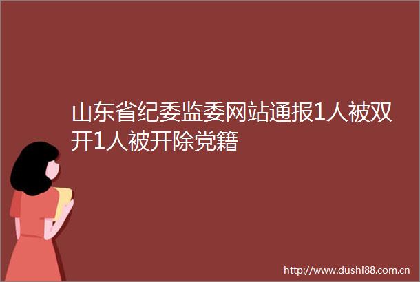 山东省纪委监委网站通报1人被双开1人被开除党籍