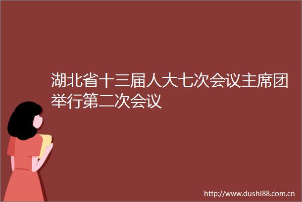 湖北省十三届人大七次会议团举行第二次会议