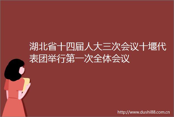 湖北省十四届人大三次会议十堰代表团举行第一次全体会议