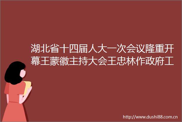 湖北省十四届人大一次会议隆重开幕王蒙徽主持大会王忠林作工作报告孙伟等出席