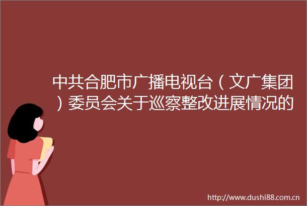 合肥市广播电视台（文广集团）委员会关于巡察整改进展情况的通报