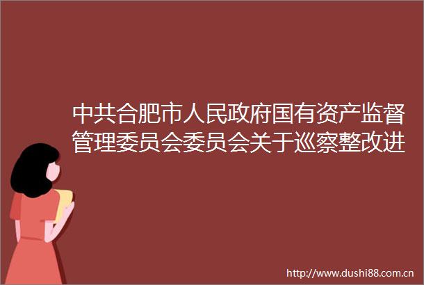 合肥市国有资产监督管理委员会委员会关于巡察整改进展情况的通报