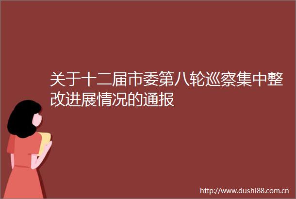 关于十二届市委第八轮巡察集中整改进展情况的通报