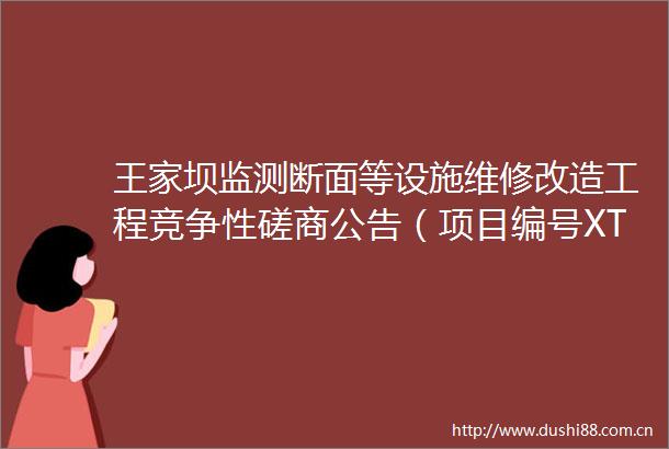 王家坝监测断面等设施维修改造工程竞争性磋商公告（项目编号XTYDL202506027）