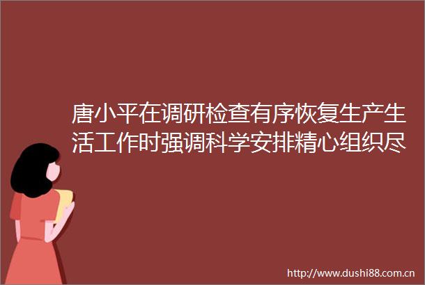 唐小平在调研检查有序恢复生产生活工作时强调科学安排精心组织尽快有序恢复生产生活秩序