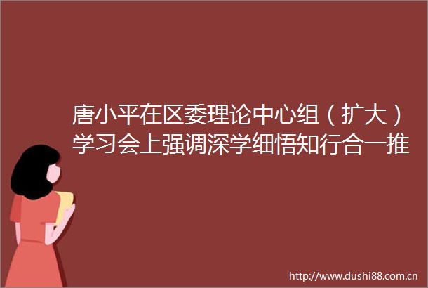 唐小平在区委理论中心组（扩大）学习会上强调深学细悟知行合一推动党的二十大精神在沙坪坝落地生根开花结果