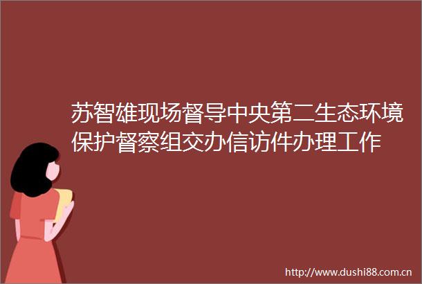 苏智雄现场督导中央第二生态环境保护督察组交办件办理工作