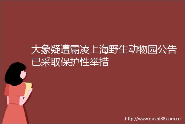 大象疑遭霸凌上海野生动物园公告已采取保护性举措