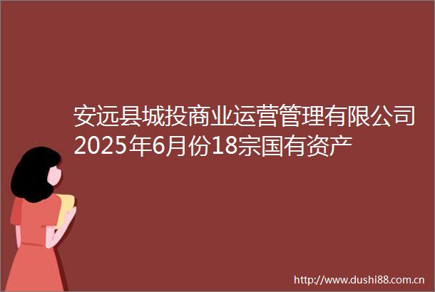 安远县城投商业运营管理有限公司2025年6月份18宗国有资产租赁经营权对外公开竞租交易公告