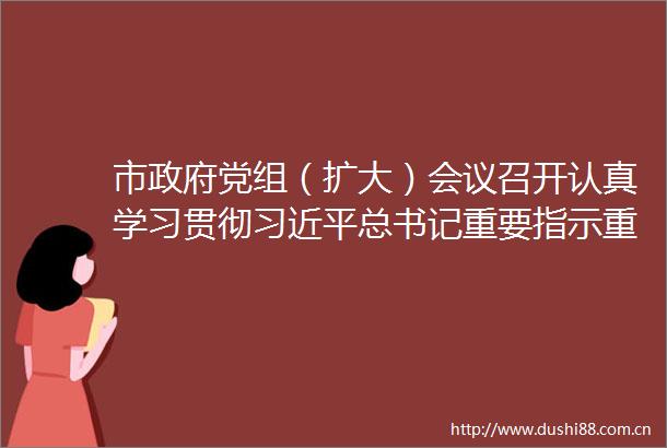 市党组（扩大）会议召开认真学习贯彻总书记重要指示重要贺信精神