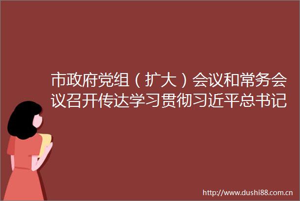 市党组（扩大）会议和常务会议召开传达学习贯彻总书记重要讲话精神和全国两会精神